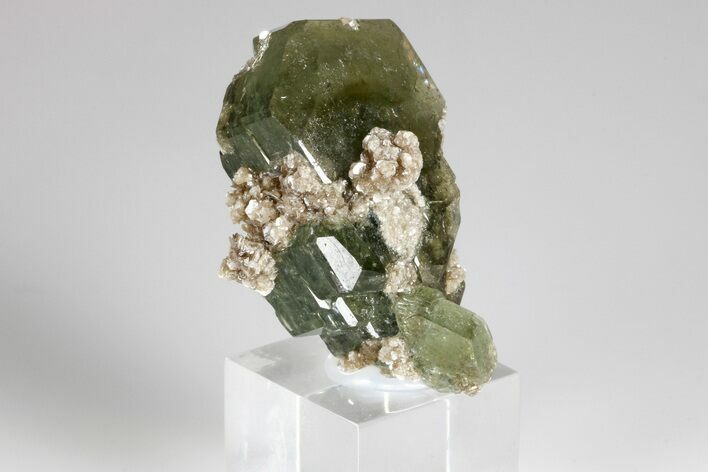 Pristine Fluorapatite Crystal Cluster with Muscovite - Portugal #175418